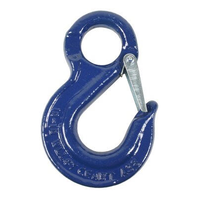 Eye sling hook with latch, grade 100