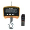 Small crane scales 1000 kg